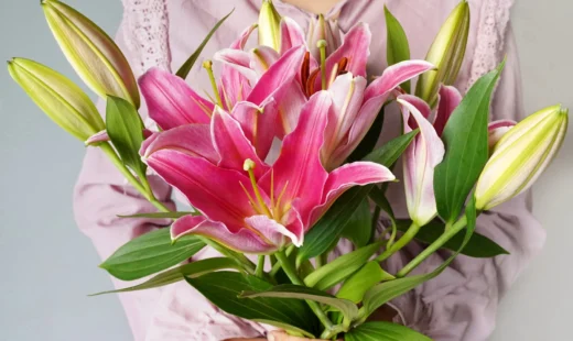 5 Stems - Oriental Pink Lilies