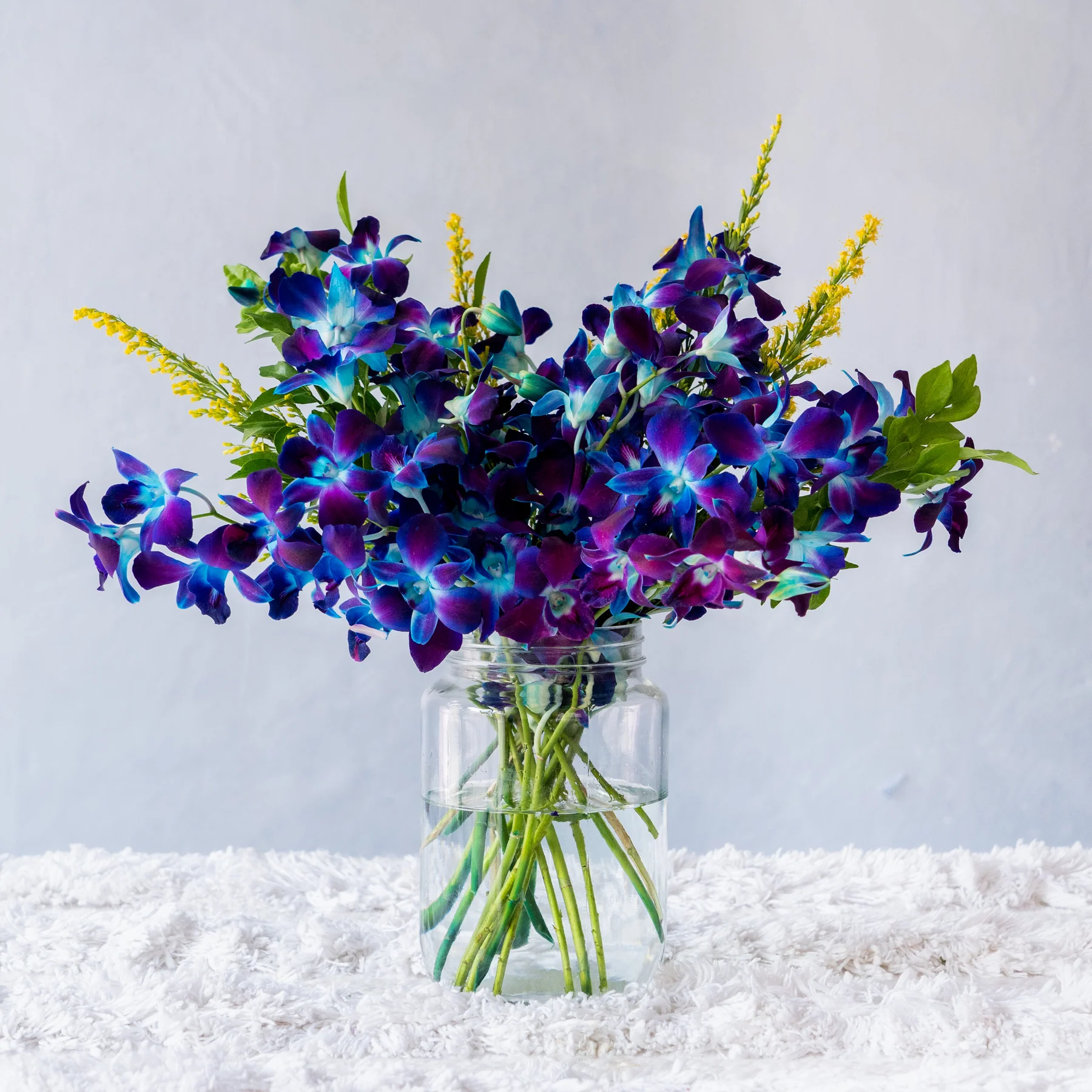 Purple Orchids - 10 STEMS