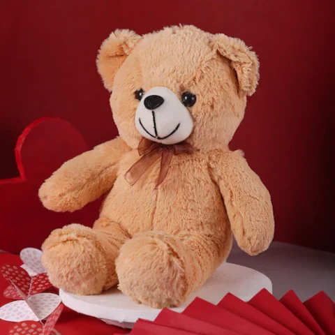 Soft Teddy